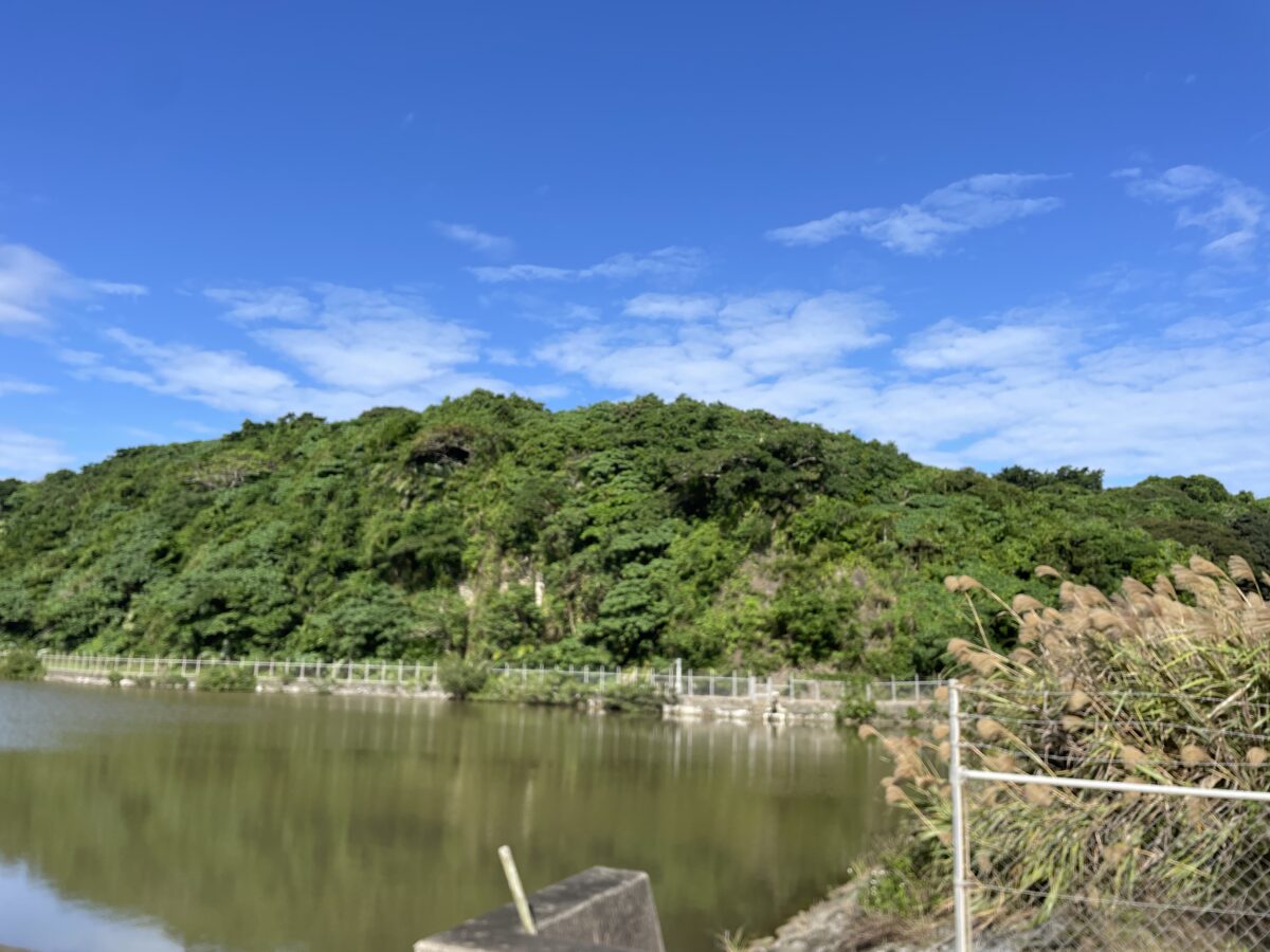 オオホラダ
調整池